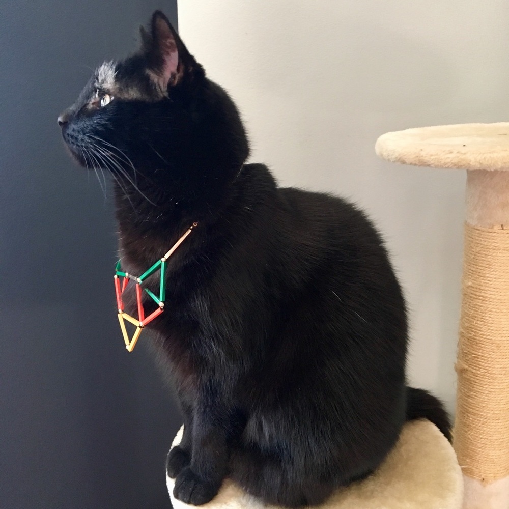 Meet your Posher, Laura